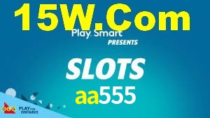 aa555.net